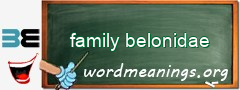 WordMeaning blackboard for family belonidae